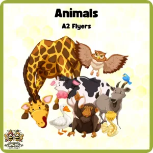 Flashcards Animals A2 Flyers