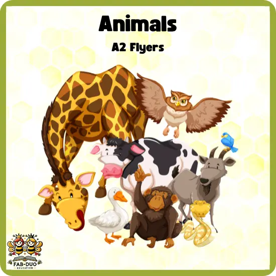 Flashcards Animals A2 Flyers