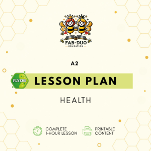 Lesson Plan The Home A2 Flyers